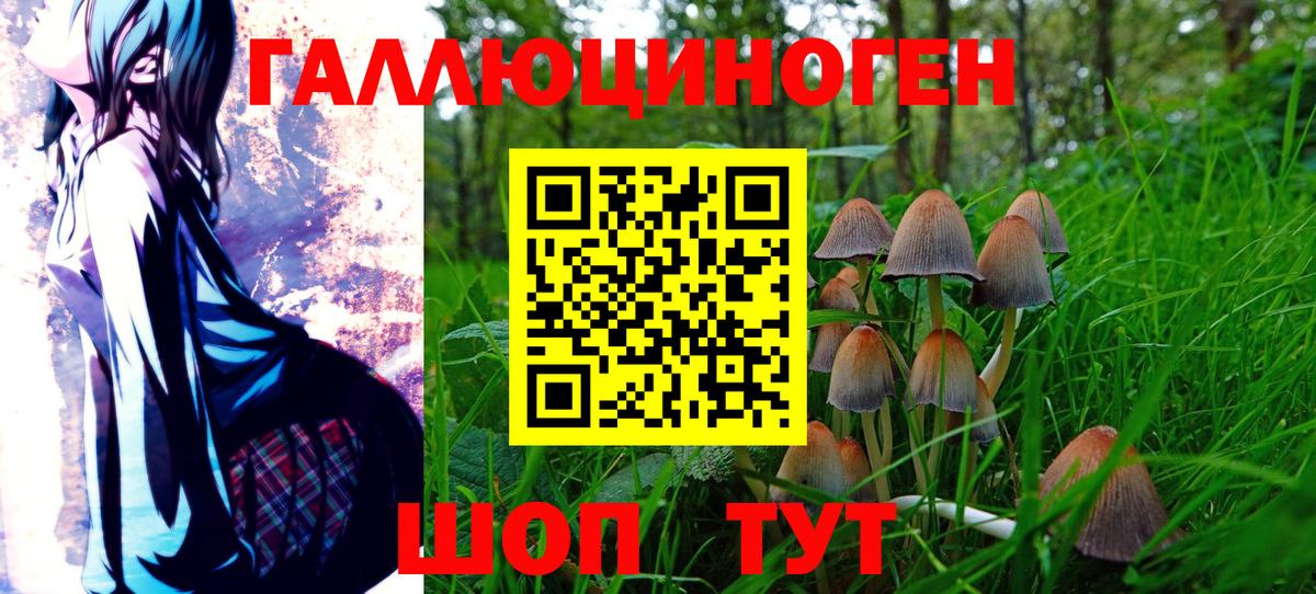 Галлюциногенные грибы GOLDEN TEACHER  Галлюциногенные грибы ЛСД  Саяногорск  Вход с VPN 